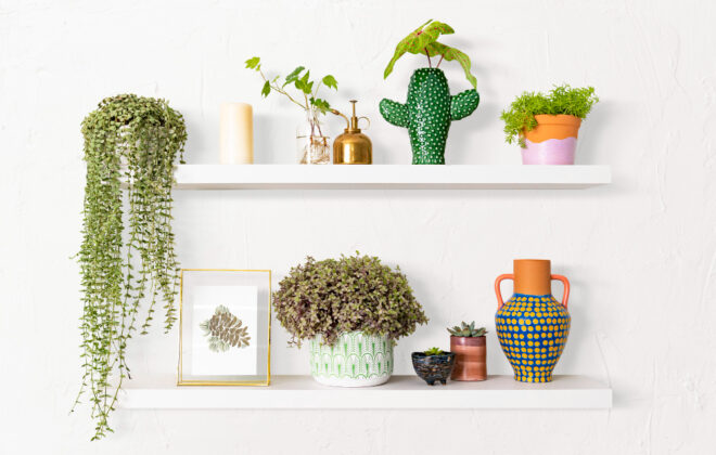 floating shelves